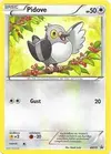 Product image for Pidove