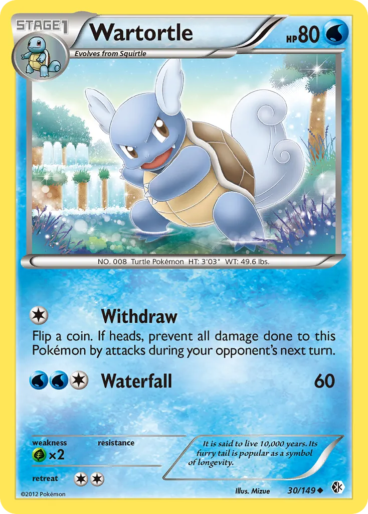 Wartortle — Boundaries Crossed — Pokémon