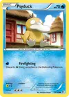 Product image for Psykokwak