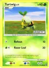 Product image for Turtwig