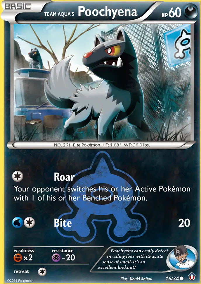 Team Aqua's Poochyena — Double Crisis — Pokemon