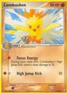 Product image for Combusken
