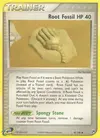 Product image for Fossile racine
