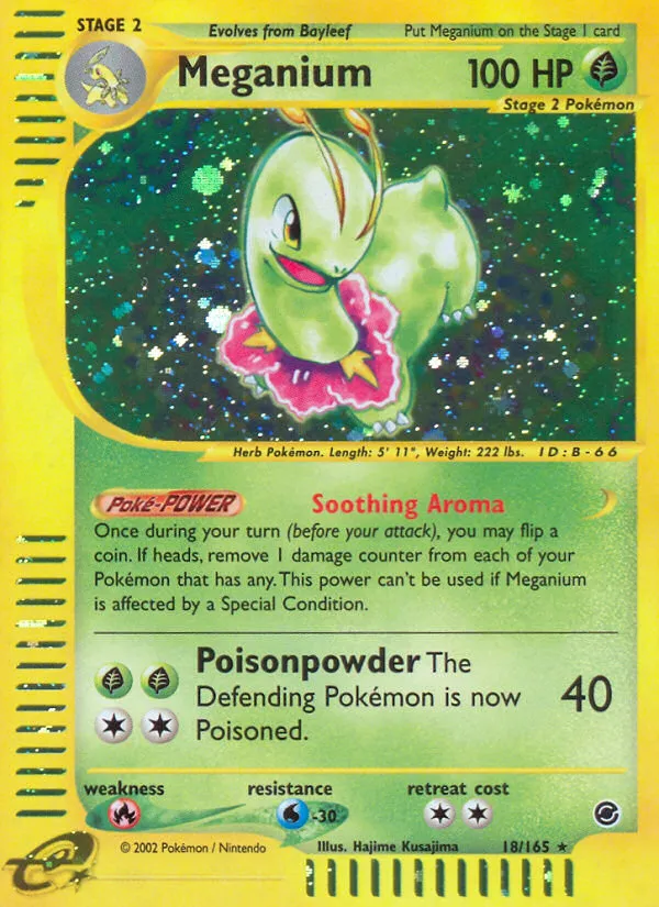 Meganium — Expedition — Pokemon