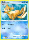 Product image for Buizel