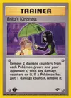Product image for Erika's Kindness