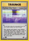Product image for Fuchsia City Gym