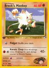 Product image for Brock's Mankey