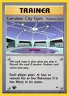 Product image for Cerulean City Gym