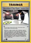 Product image for Vermilion City Gym