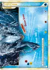 Product image for Lugia LÉGENDE