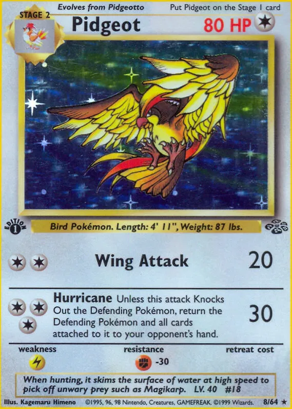 Pidgeot — Jungle — Pokemon