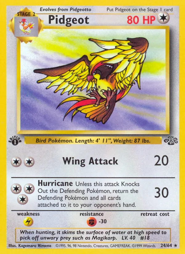 Pidgeot — Jungle — Pokemon