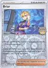 Product image for Briar