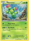 Product image for Maractus