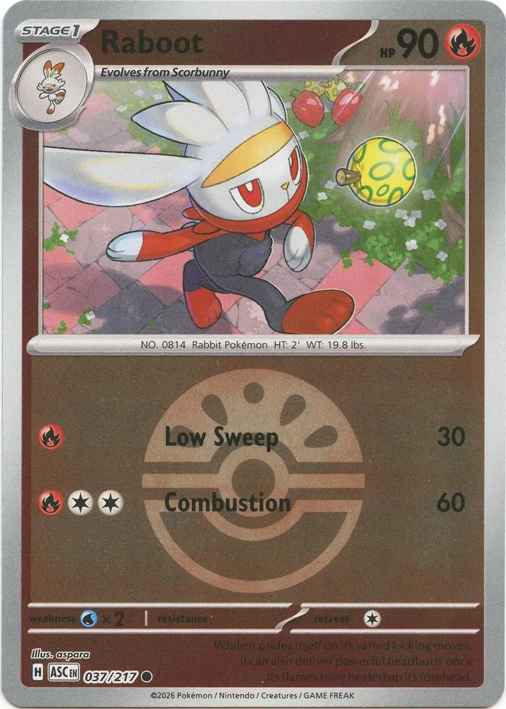 Raboot — ME: Ascended Heroes — Pokémon