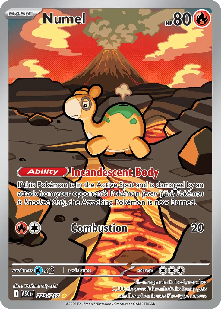 Numel — ME: Ascended Heroes — Pokemon