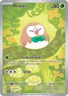 Product image for Brindibou