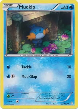 Mudkip — Miscellaneous Cards & Products — Pokemon