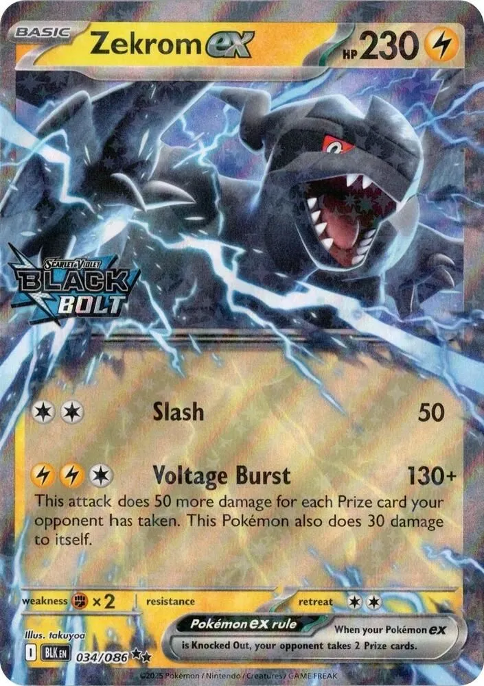 Zekrom ex — Miscellaneous Cards & Products — Pokémon