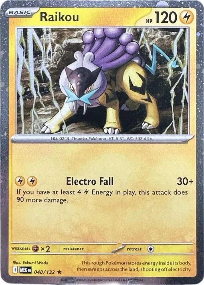 Raikou — Miscellaneous Cards & Products — Pokémon