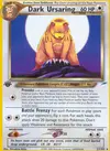 Product image for Dark Ursaring