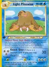 Product image for Light Piloswine