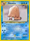 Product image for Piloswine