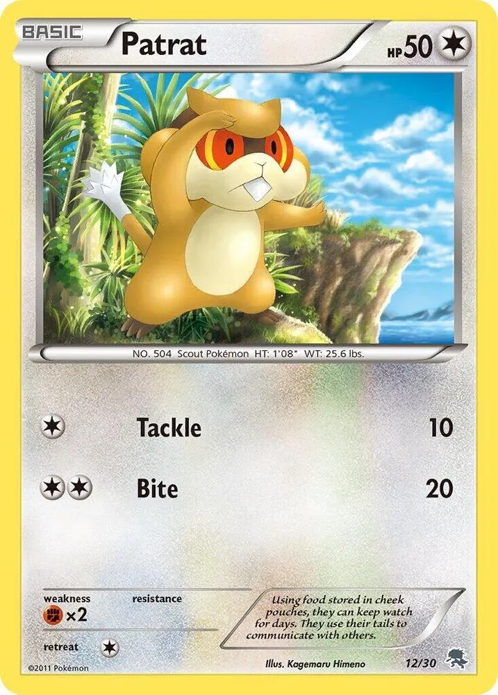 Patrat — BW Trainer Kit: Excadrill & Zoroark — Pokemon