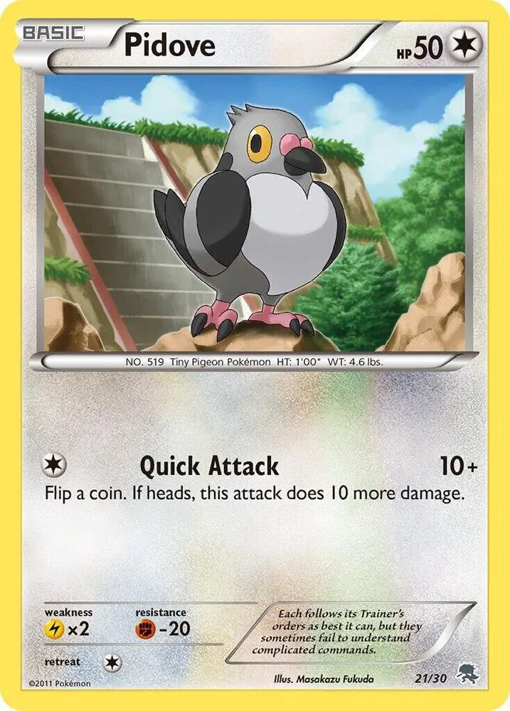 Pidove — BW Trainer Kit: Excadrill & Zoroark — Pokemon