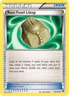Product image for Root Fossil Lileep