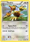 Product image for Dodrio