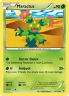 Product image for Maractus