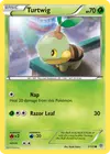 Product image for Turtwig