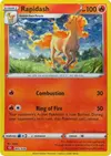 Product image for Rapidash