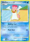 Product image for Shellos West Sea