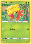 Product image for Tournicoton