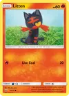 Product image for Litten