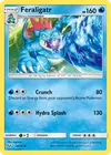 Product image for Feraligatr