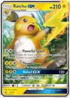 Product image for Raichu GX