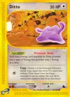 Product image for Ditto