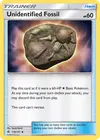Product image for Unidentified Fossil