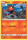Product image for Litten