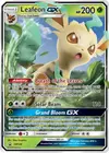 Product image for Leafeon GX