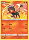 Product image for Litten