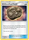 Product image for Unidentified Fossil