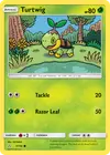 Product image for Turtwig