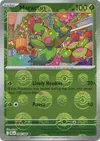 Product image for Maractus