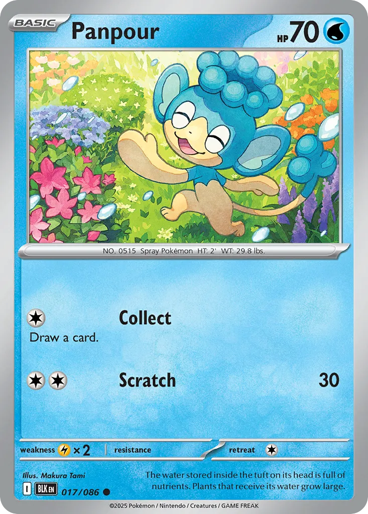 Panpour — SV: Black Bolt — Pokemon