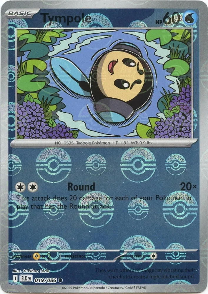 Tympole — SV: Black Bolt — Pokémon